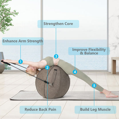 Anti-Burst Exercise Ball with Protective Cover, Handle, and Resistance Bands
