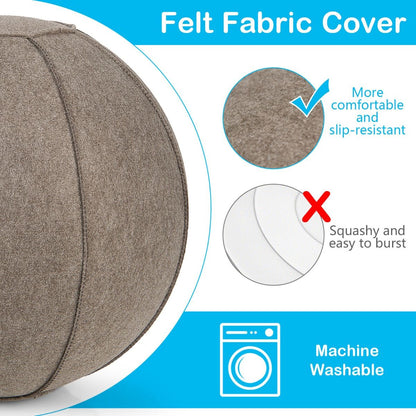 Anti-Burst Exercise Ball with Protective Cover, Handle, and Resistance Bands