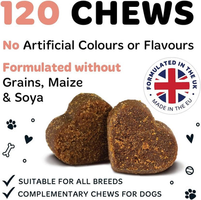 Bugalugs Dog Salmon Oil 100% Pure Dogs, Cats & Pets 500Ml, Healthy Skin & Coat