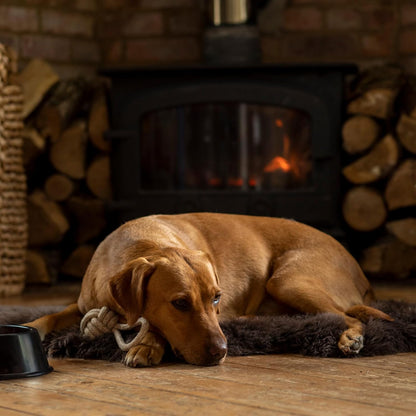 Dorwest Herbs Scullcap & Valerian Calming Tablets for Dogs and Cats, 100 Tablets